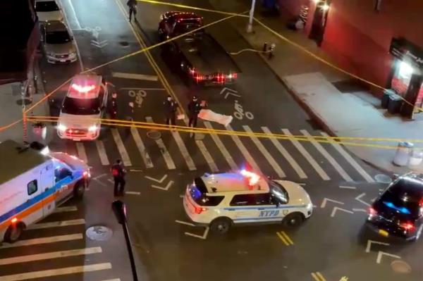 A local East Village activist named Merle Ratner was struck and killed by a tow truck Mo<em></em>nday evening at the intersection of Avenue C and East 10th Street.