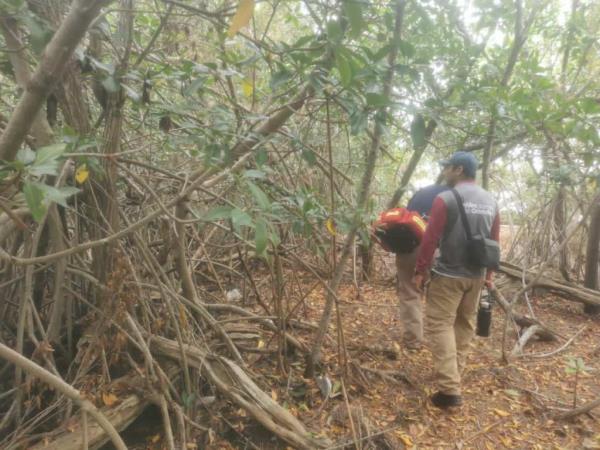 Photos captured search and rescue efforts unfolding in wooded areas during the day and night.