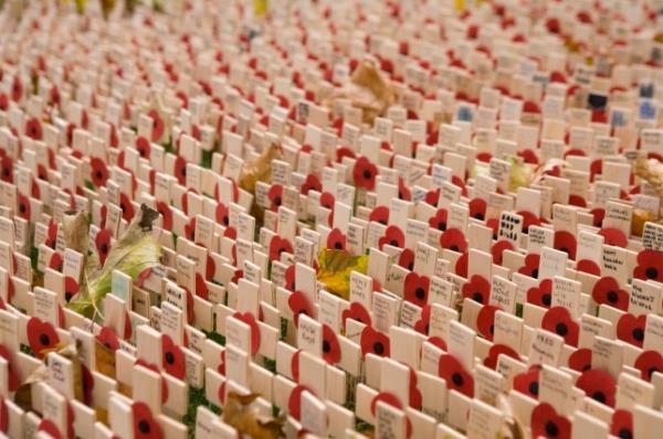 Crosses and poppies in the field of remembrance beside westminster abbey in lo<em></em>ndon wher<em></em>e each cross represents a person killed in a particular war Each year the dead of all wars are remembered at the cenotaph in whitehall .On November the 11th at 11am the moment the armistice was declared to end the first world war wreathes of poppies ho<em></em>nouring those who died in the poppy fields of france are laid at the foot of the cenotaph by members of the royal family and various dignitaries. (Photo by In Pictures Ltdhttp://www.huioj.com/news/show/117713/Corbis via Getty Images)