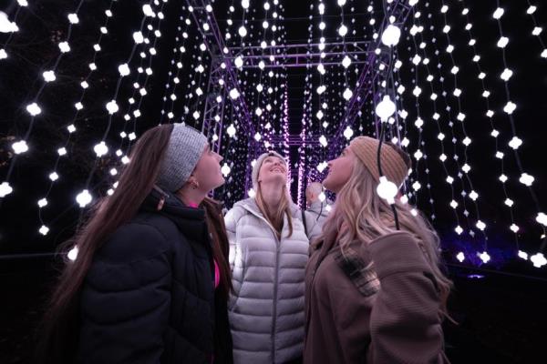 A group of friends at Lightscape