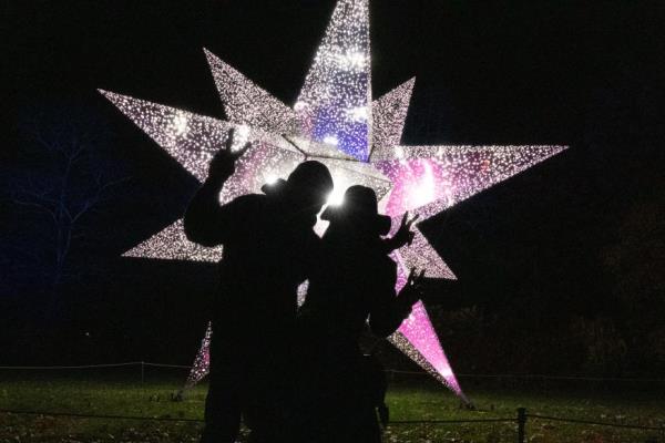 Brooklyn Botanic Garden Lightscape display in shape of a star