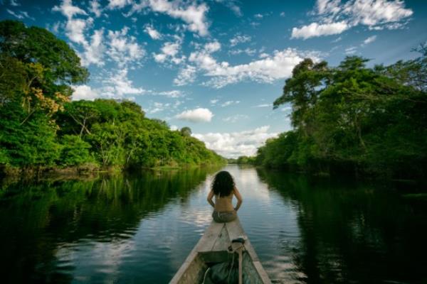 Humans rely on tropical rainforests to help absorb some of the carbon dioxide emitted by fossil fuels