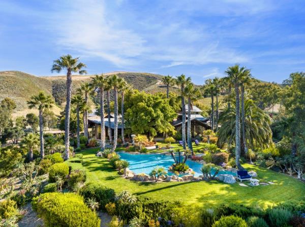 The pool surrounded by trees. 