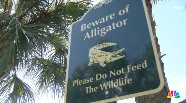 Sign with a crocodile and palm tree near a pond wher<em></em>e an 84-year-old woman was bitten by an alligator in South Florida.