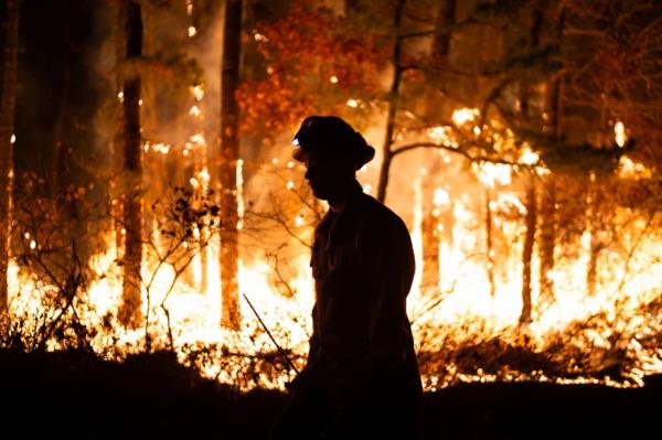 Silhouette of firefighter Daniel Rigby battling a forest fire in Evesham, New Jersey on November 6, 2024