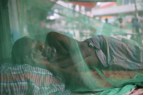 Homeless people sleep on vans inside mosquito-nets to protect them from mosquito-borne disease in Dhaka, Bangladesh.