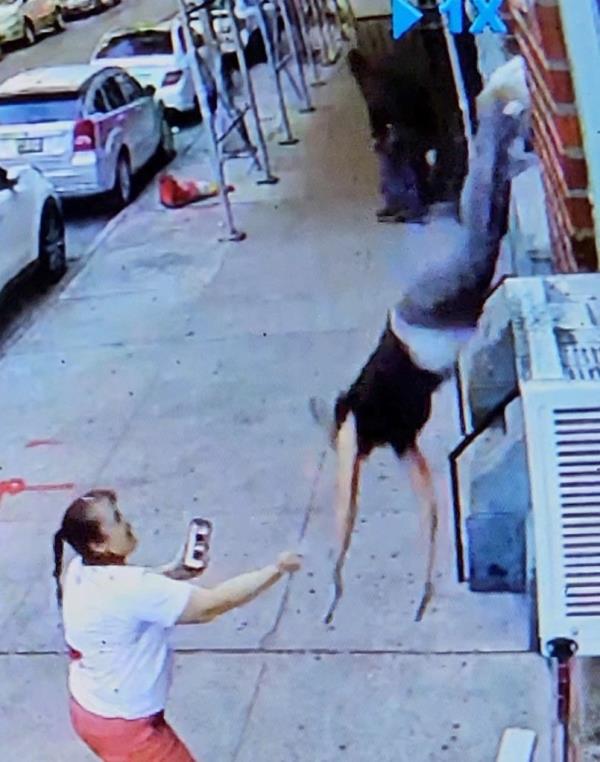 Woman pushed from window.