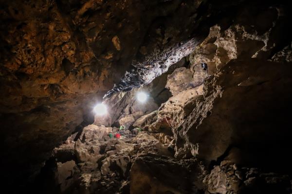 Interior of the Cueva de los Murciélagos de Albu?ol.