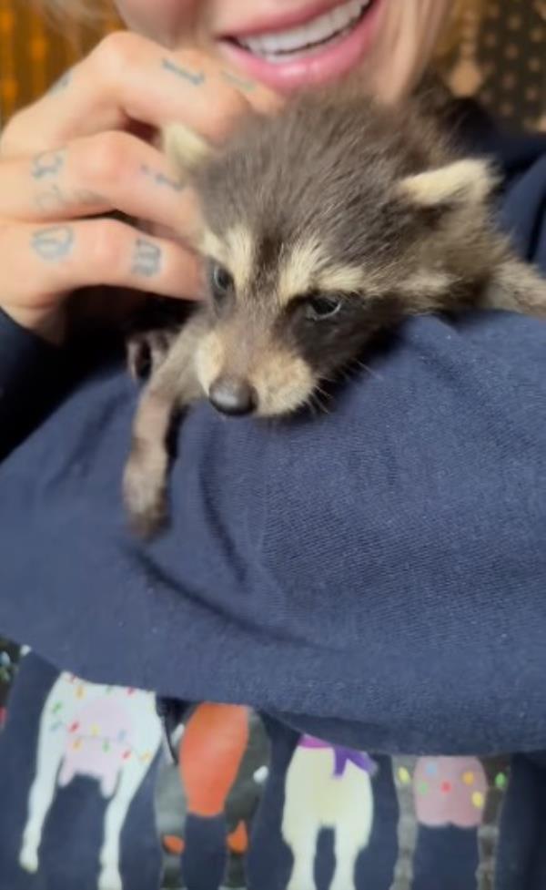 Fred, the baby raccoon, was also killed by the state