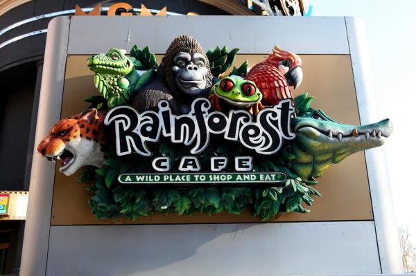 Modern fans of the Rainforest Café are highly engaged on social media.