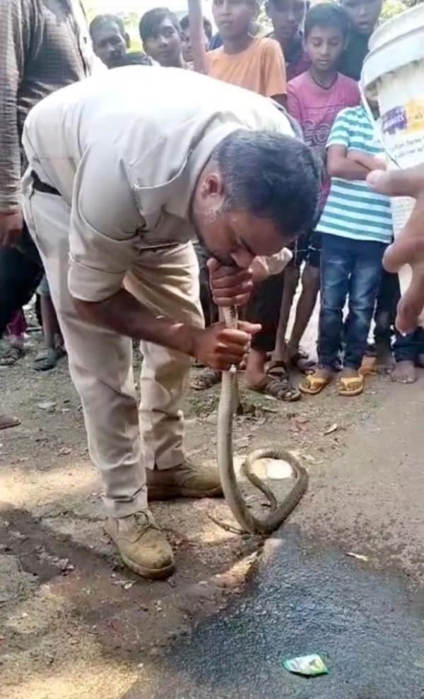 Indian officer Atul Sharma gave CPR to a non-venomous snake on Oct. 24.