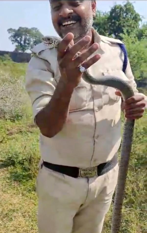 Sharma smiles with the revived snake in his hands. 