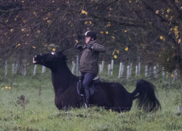 Prince Andrew nearly fell off his horse when the animal got agitated.