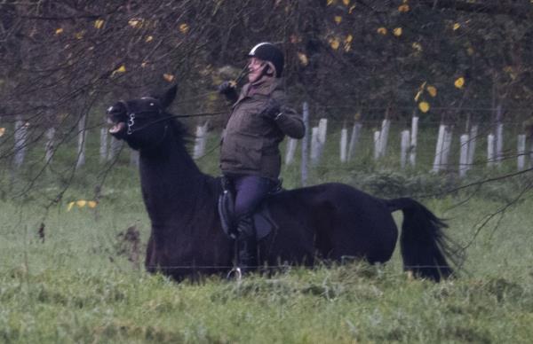 Prince Andrew out riding in Windsor. His Horse spooked while riding and almost threw him. 