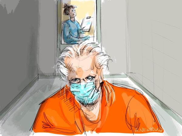 In this courtroom sketch, Canadian fashion mogul Peter Nygard appears for a bail hearing in Toro<em></em>nto on Thursday Jan. 6, 2022