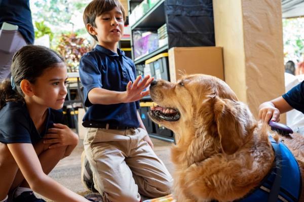 Sacred Hearts School third grade students pet Quincy, a comfort dog with Assistance Dogs of Hawaii, at Sacred Hearts Mission Church on Tuesday, Oct. 3, 2023