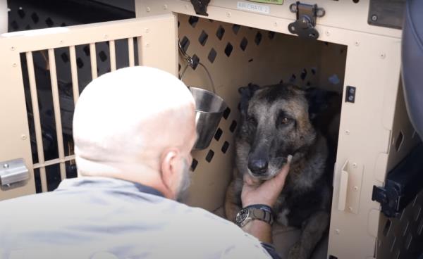 The HR dogs take turns running through a site while their counterparts take a much-needed fuel and hydration break inside an air-co<em></em>nditioned vehicle.