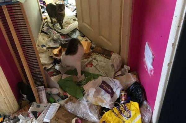 A Sheffield woman has been banned from keeping animals for five years after keeping her cats in the most ?disgusting environment? an RSPCA officer had ever seen. One of the two flea-ridden cats who was living in the rubbish and faeces-strewn flat in Lupton Walk in Lowedges was suffering from severe dental disease and had 16 teeth missing.