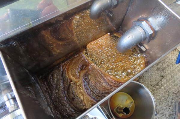 Maple syrup bubbling in a cooker at Stockton University's Galloway, N.J. campus as part of a study on the feasibility of establishing a maple syrup industry in southern New Jersey