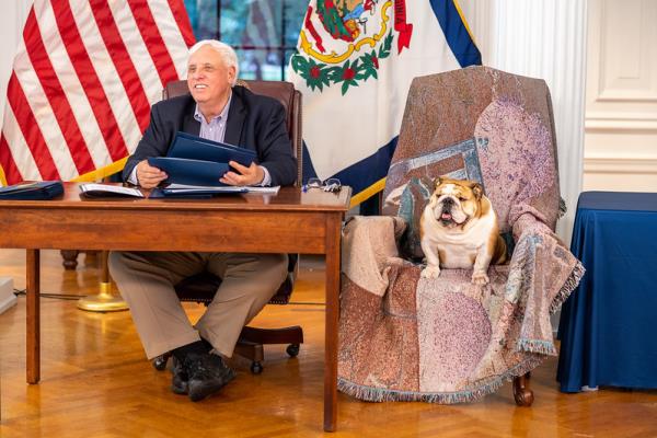 Babydog has become a fixture in West Virginia state politics.