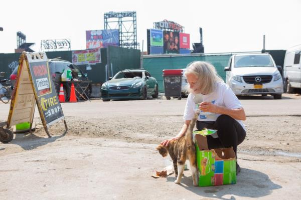 Regina Massaro feeding and caring for stray cats in Willets Point, NY auto repair area