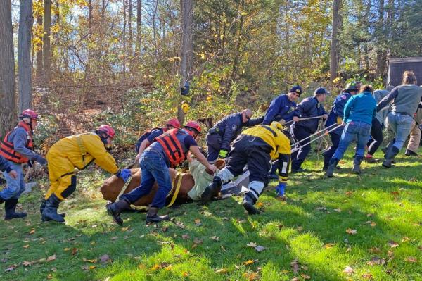 Firefighters pull her up the steep terrain.