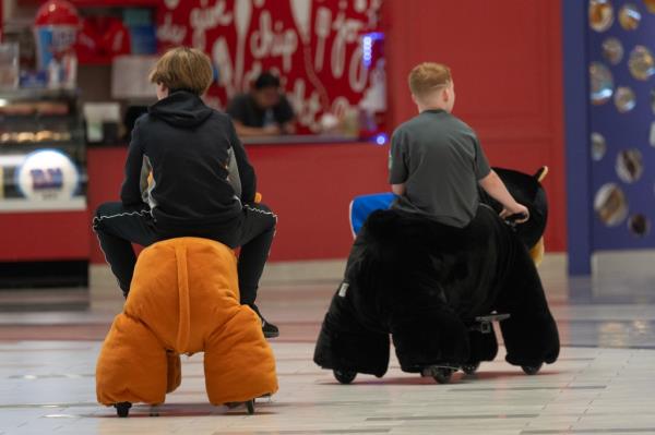 A photo of two boys riding the plush motorized animals at the American Dream mall.