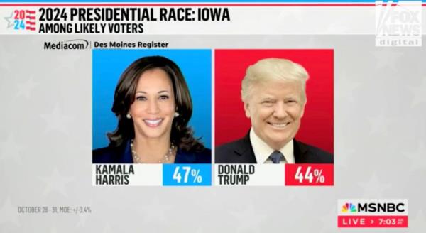 Polls showed Harris above Trump during the presidential election.