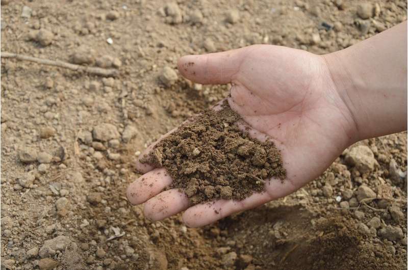 Maps of heavy me<em></em>tals in Wellington's soils show impacts of urbanisation