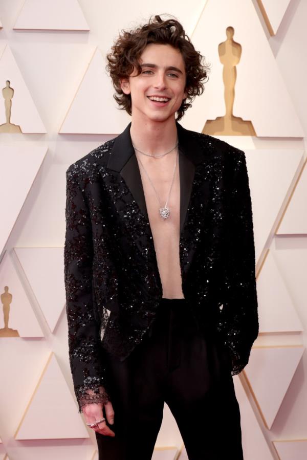 Timothée Chalamet on the red carpet in a suit with no shirt