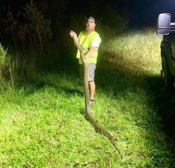 Ro<em></em>nald Kiger posing with a large python.