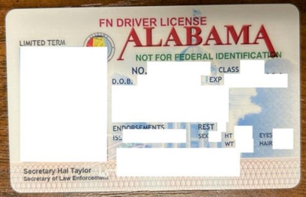 Alabama non-citizen driver's license