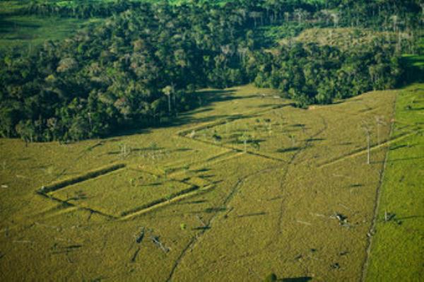 Earthworks on Amazo<em></em>nian landscape