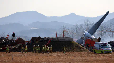 EPA A group of firefighters walk next to the tail of the plane which has crashed on soil