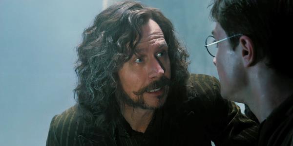 Gary Oldman talking to Harry as Sirius Black in Harry Potter and the Order of the Phoenix.