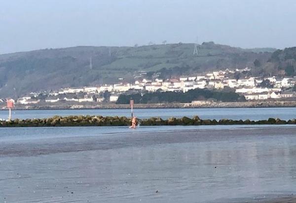 Carmarthenshire Council co<em></em>nfirmed that two dead horses had been found along the same stretch of coastline